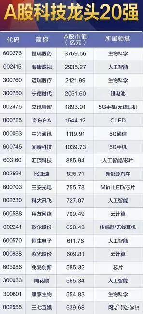 科技龙头股一览表，未来投资新高地探索